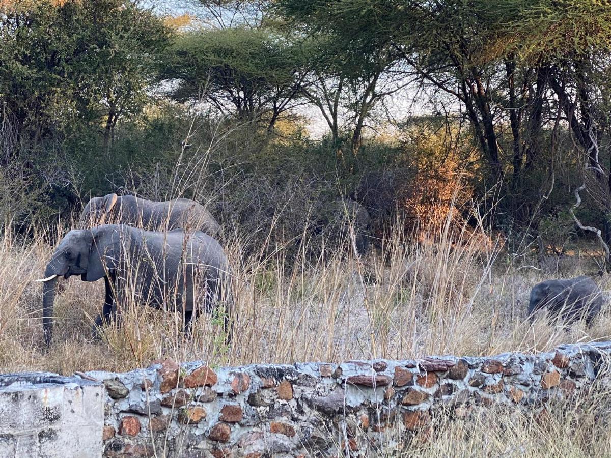 Big 5 Toro Lodge Kasane Εξωτερικό φωτογραφία